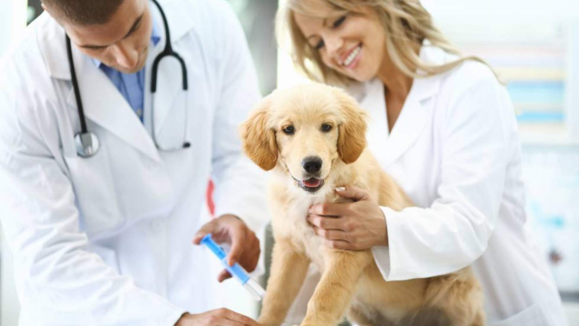 Entérate de las ofertas de empleo disponibles en el sector.