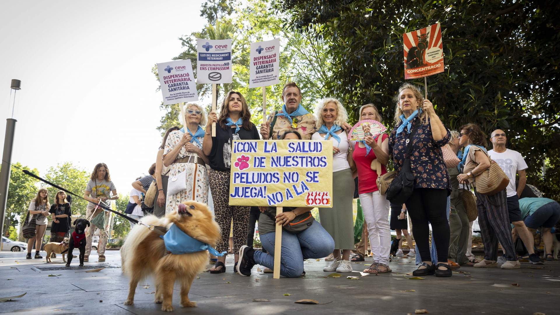 Más de 400 personas claman en palma por una regulación veterinaria justa y adaptada a la realidad clínica diaria