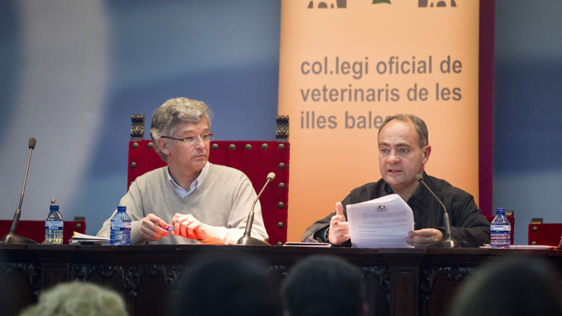 El Colegio celebra su asamblea general ordinaria