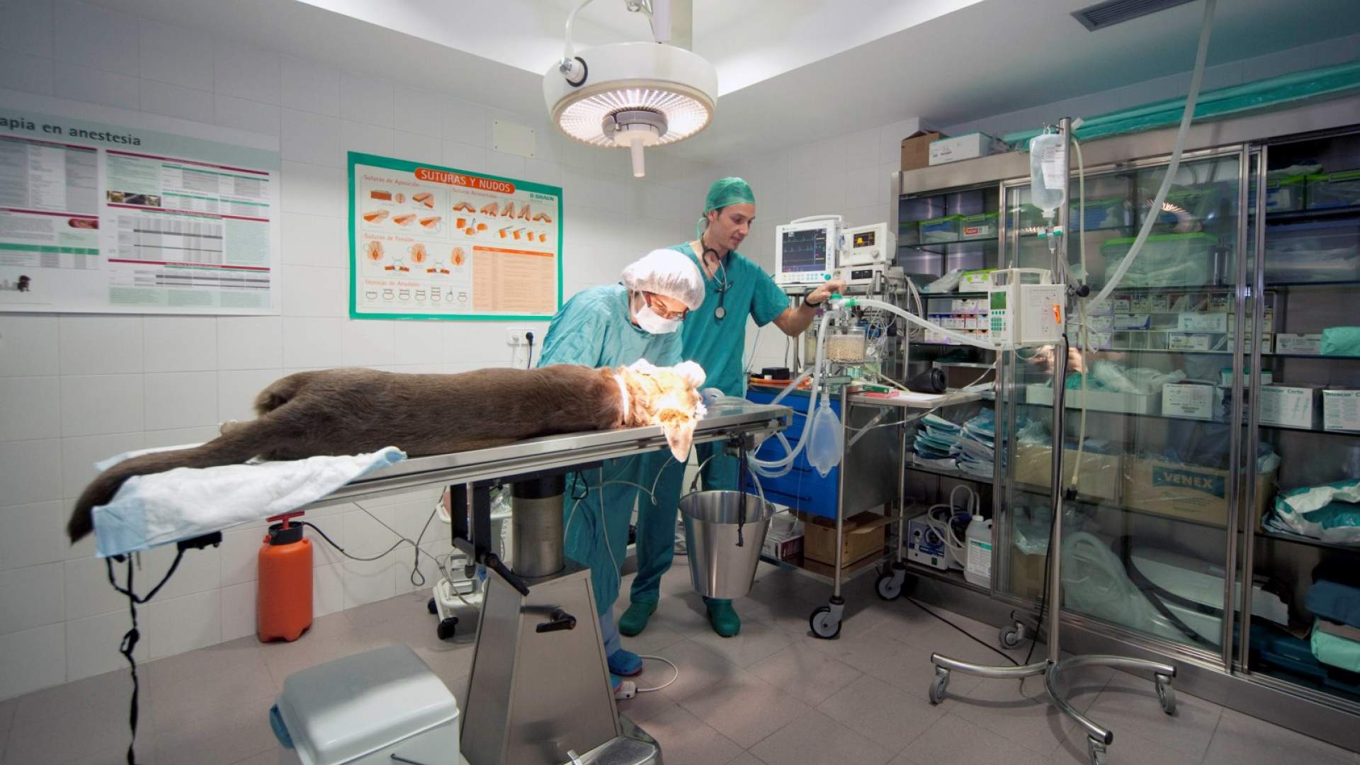 Aprobado Real Decreto que regula el Registro de Profesionales Sanitarios