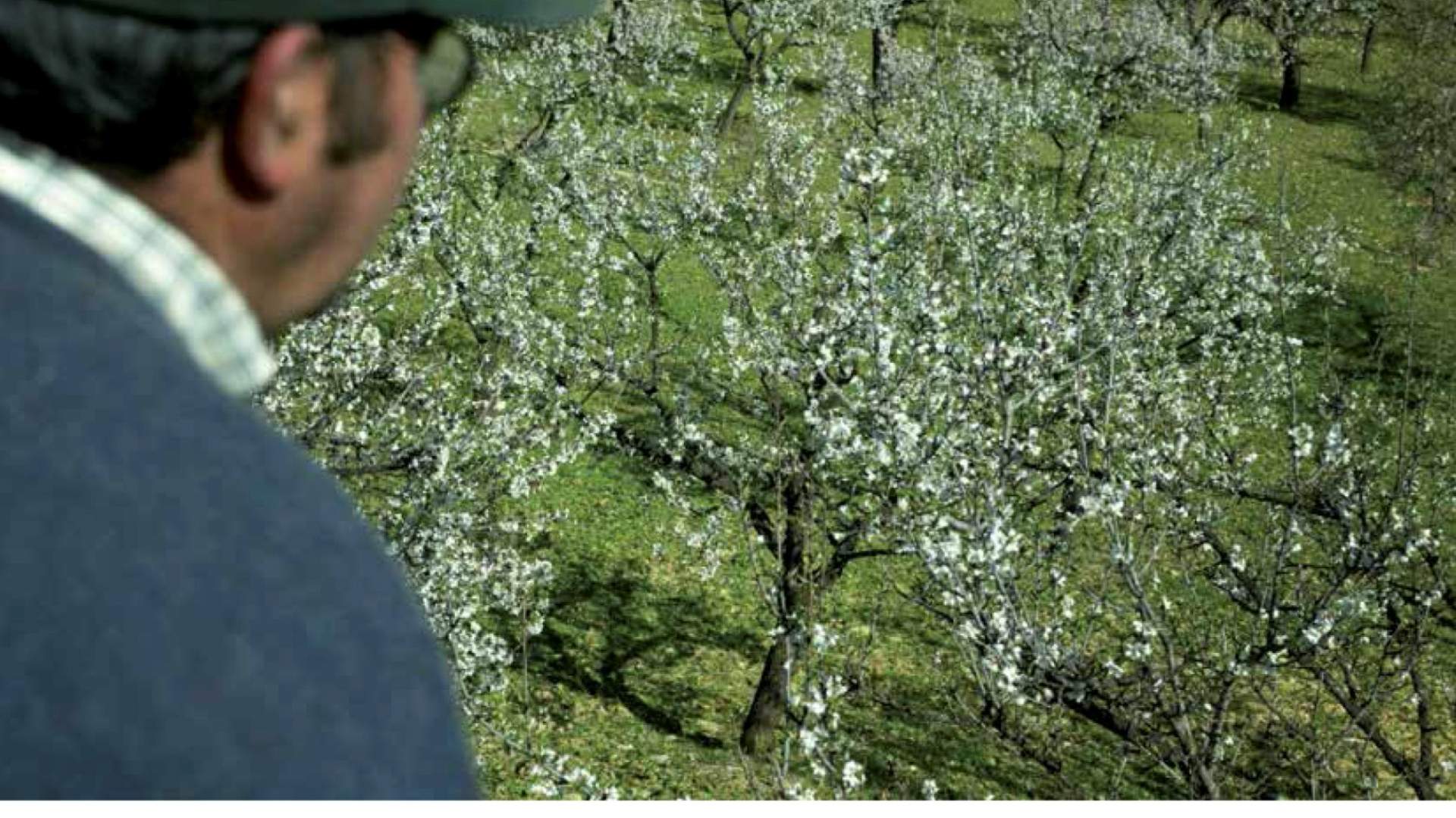 La revista 62 de VETERINARIA, en imprenta