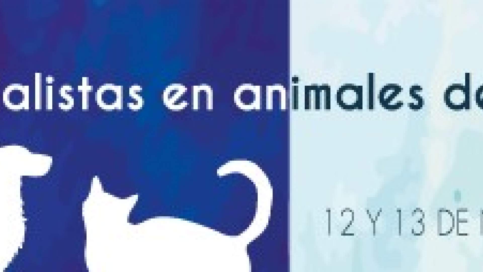 XVI Congreso Andaluz de Veterinarios Especialistas en animales de compañía. 12 y 13 de noviembre de 2021 (Almería)