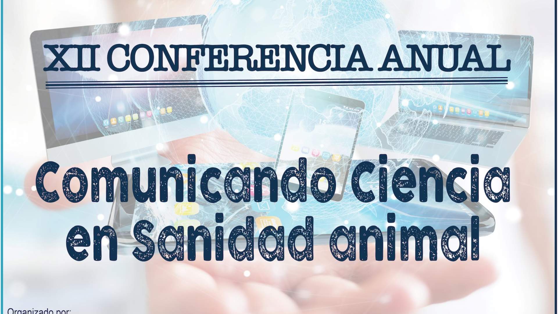 XII Conferencia Anual Vet+i