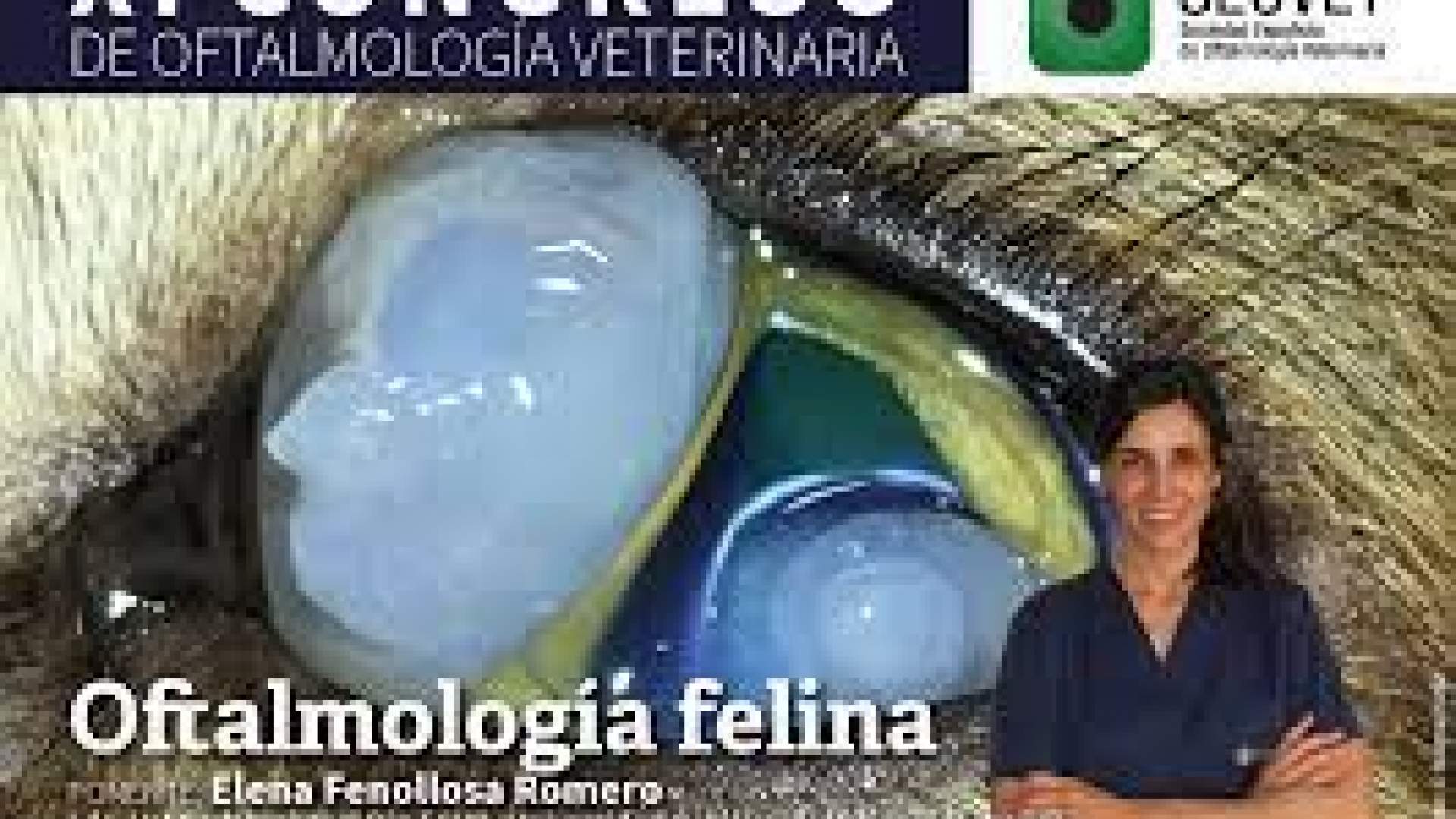 XI Congreso de la Sociedad Española de Oftalmología Veterinaria - 25 febrero 2022