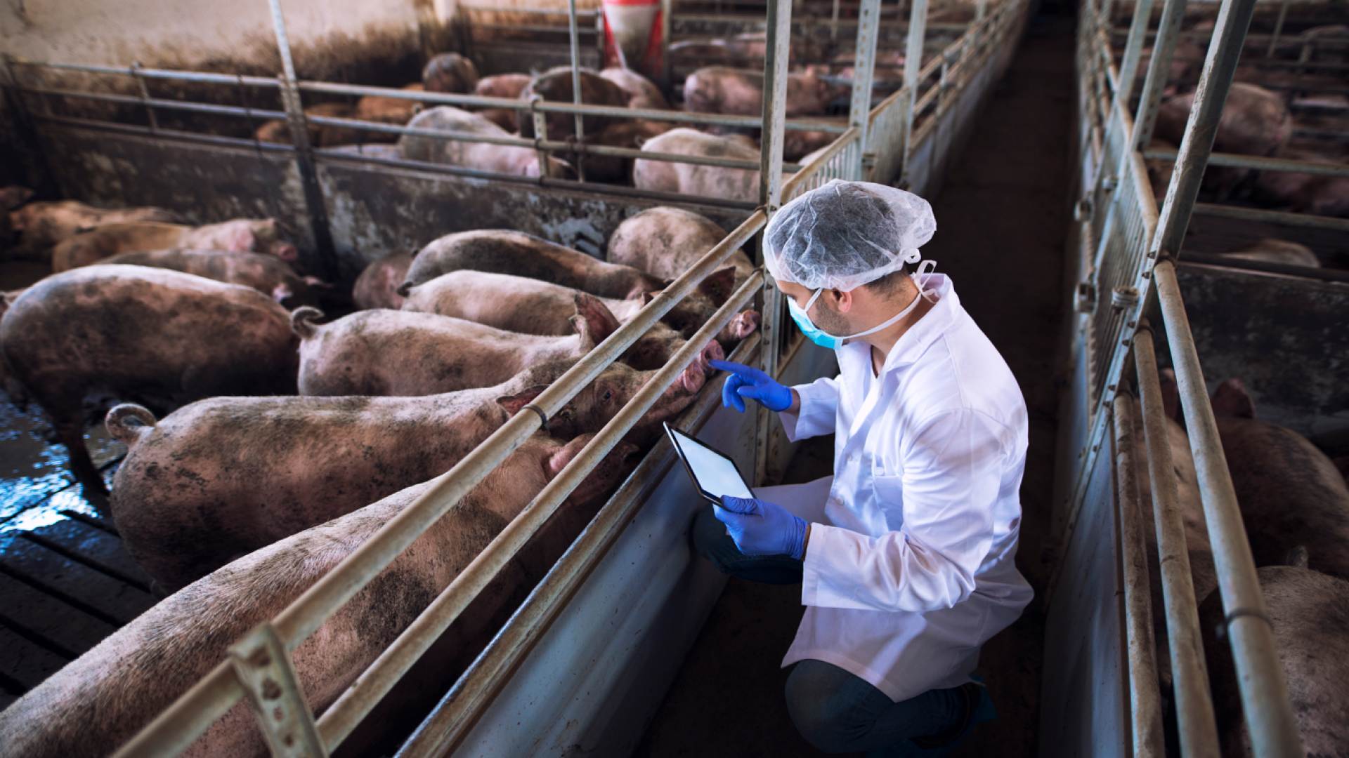 Notificación y gestión de riesgos EDOs