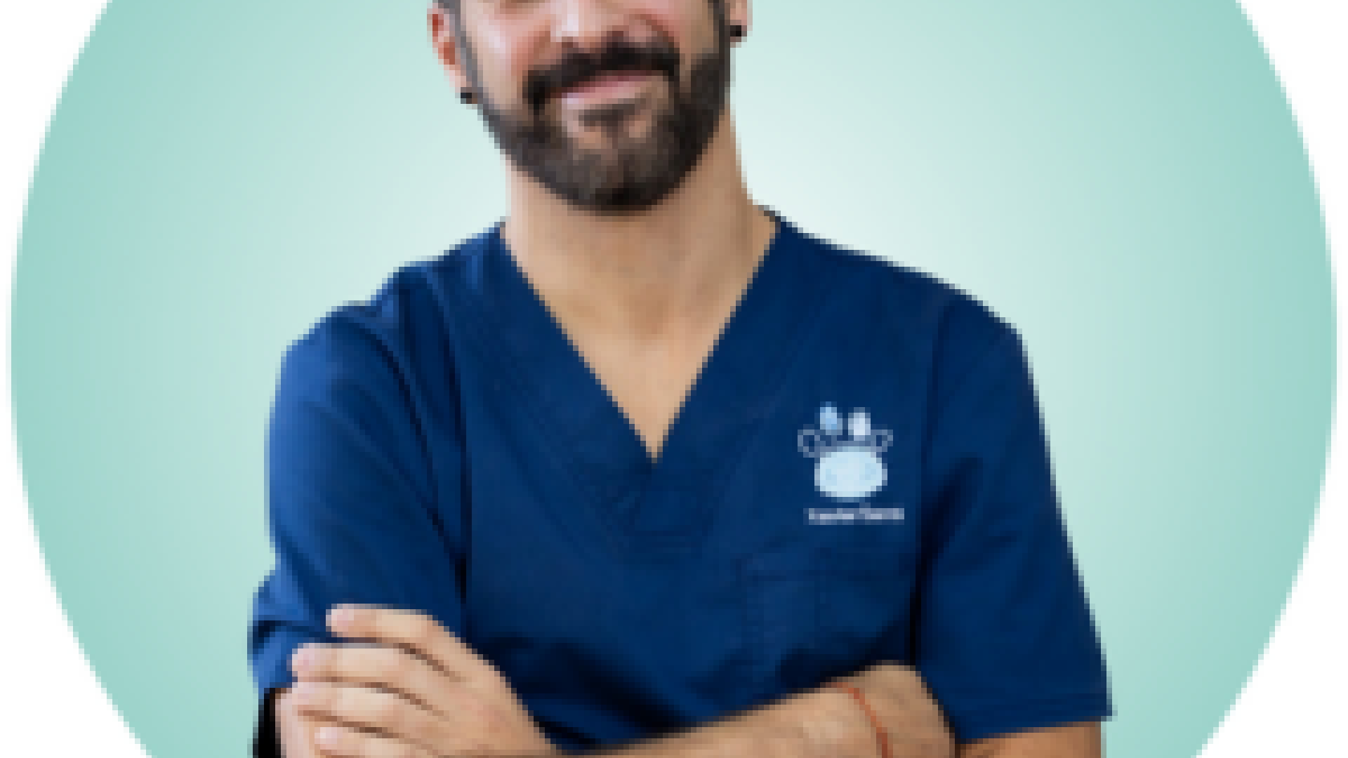 Alergias alimentarias en animales atópicos