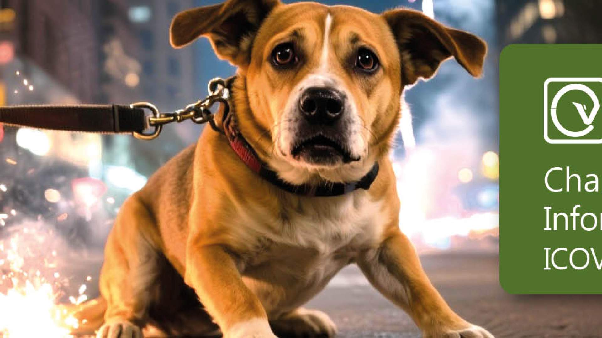 Prevención de fobia a ruidos en animales de compañía