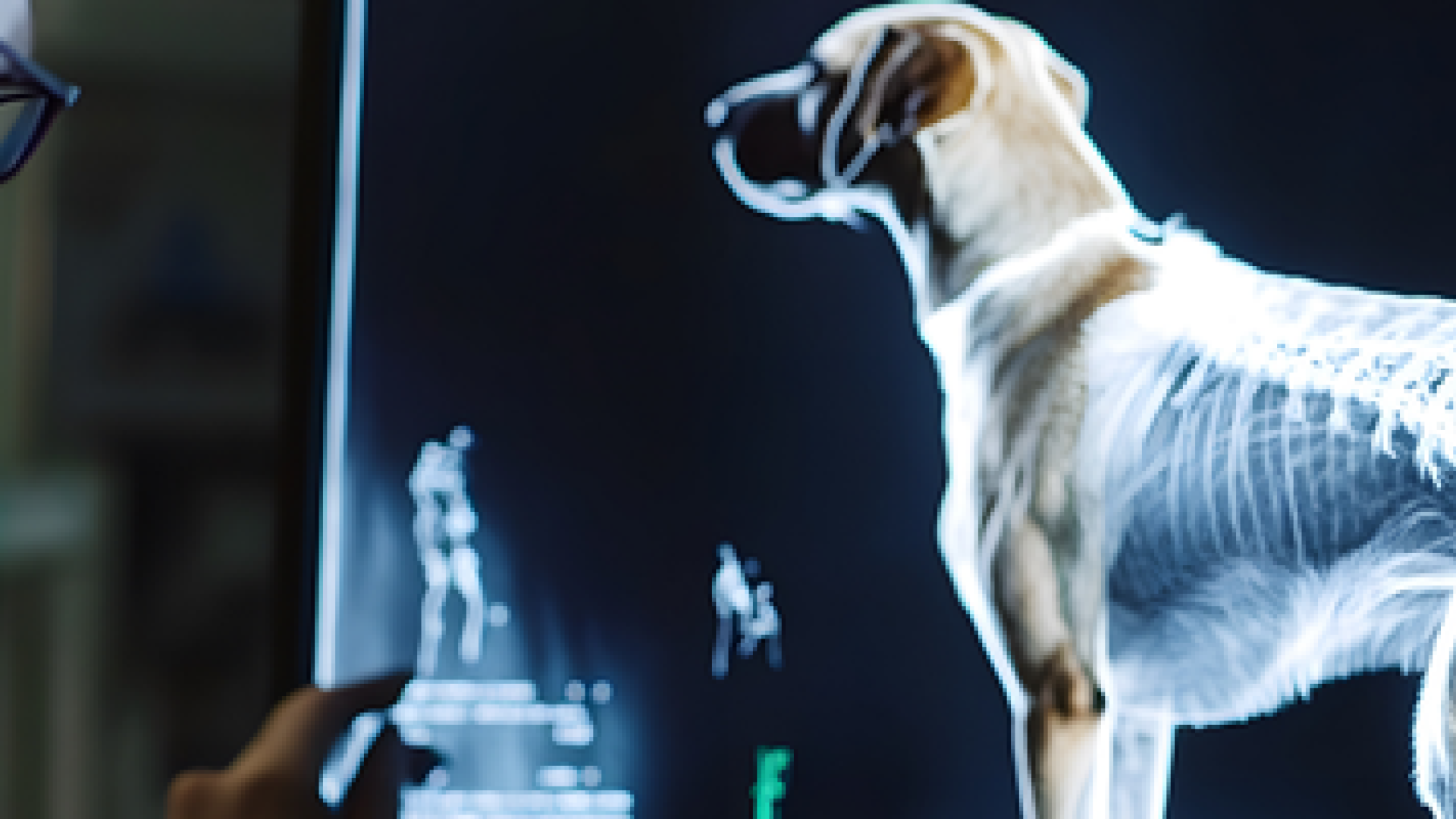 Veterinària 4.0: aplicacions de la Intel·ligència Artificial en l'àmbit de la clínica de petits animals