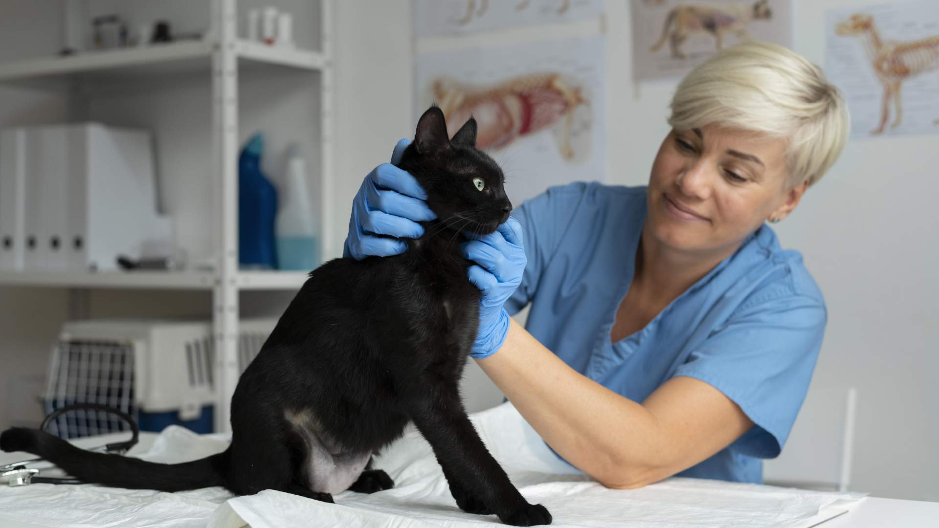 Barrera cutánea, microbiota e inflamación: el triángulo del éxito en dermatología clínica