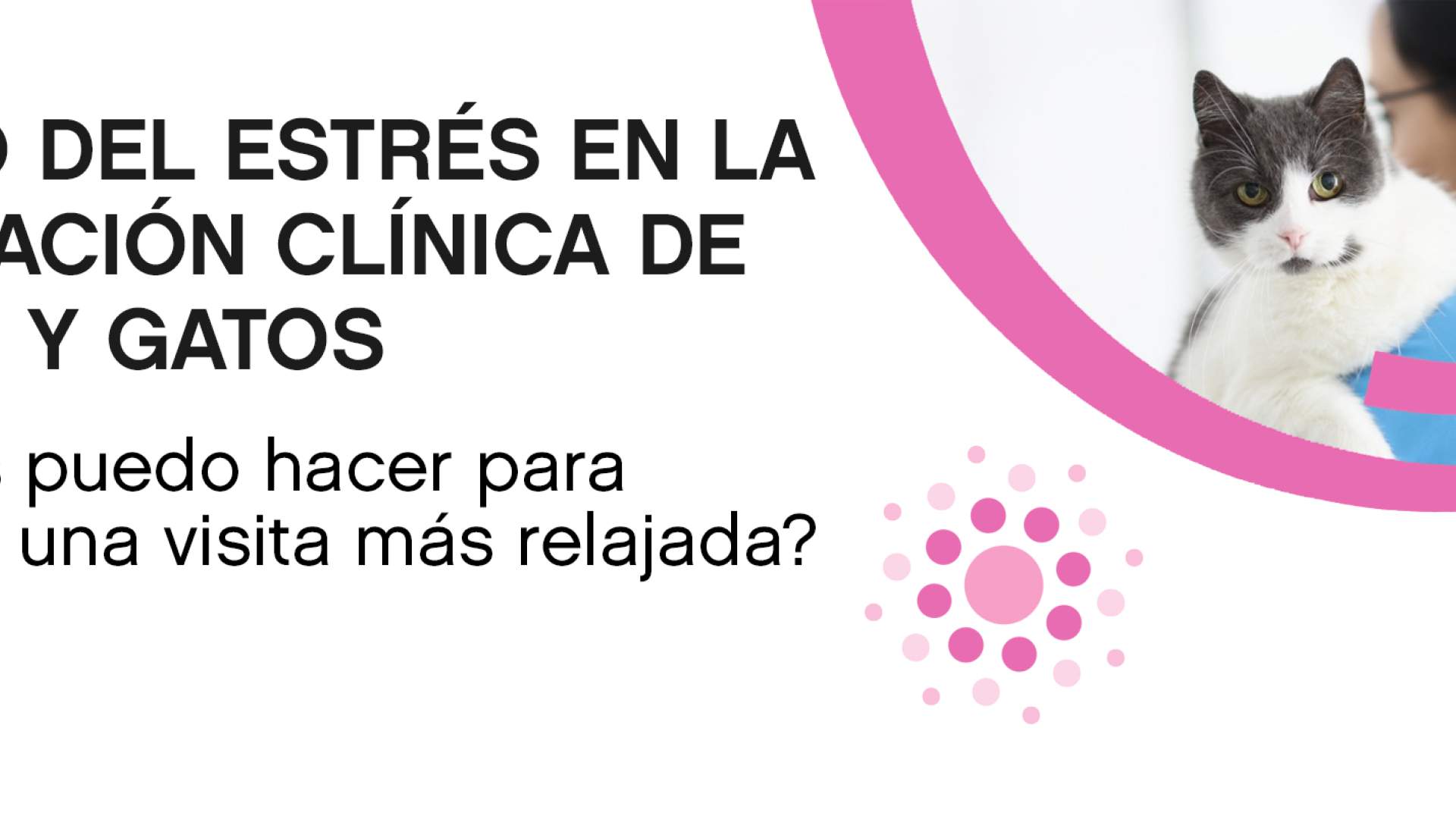 Manejo del estrés en la exploración clínica de perros y gatos