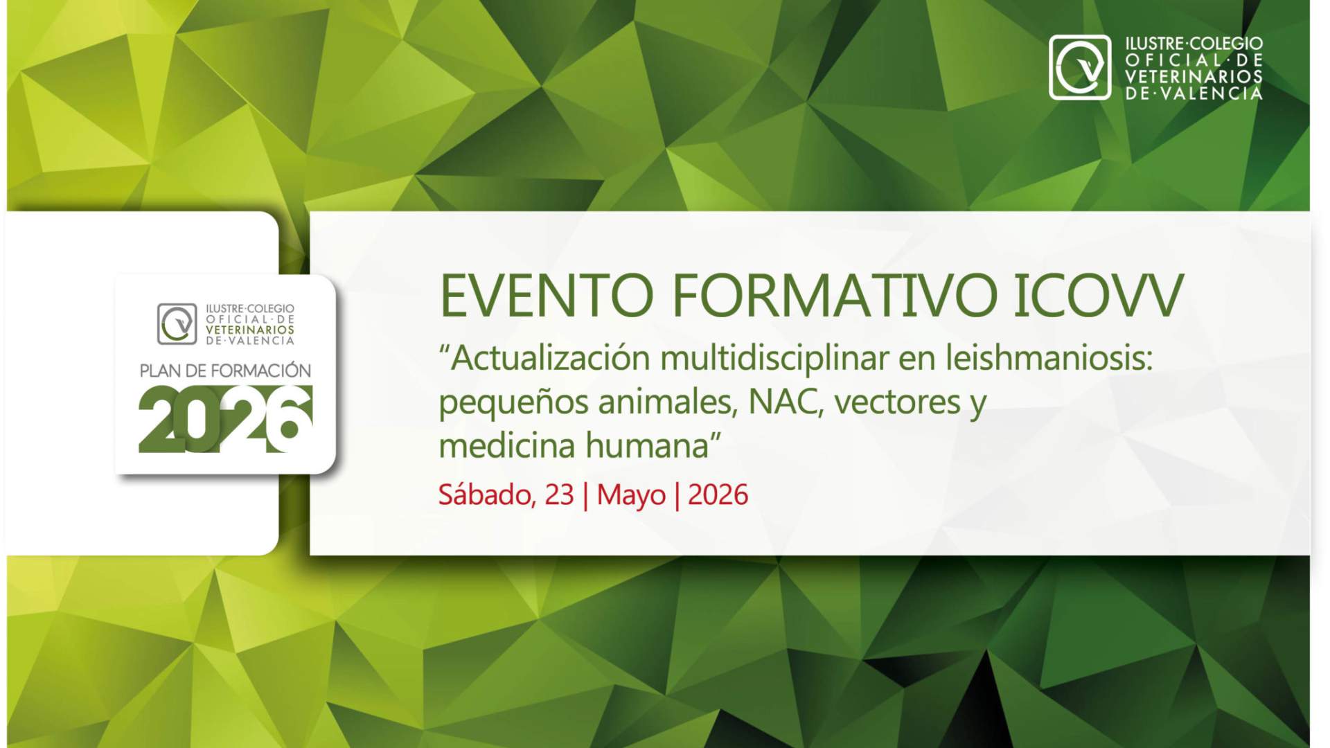 Actualización multidisciplinar en leishmaniosis: pequeños animales, NAC, vectores y medicina humana