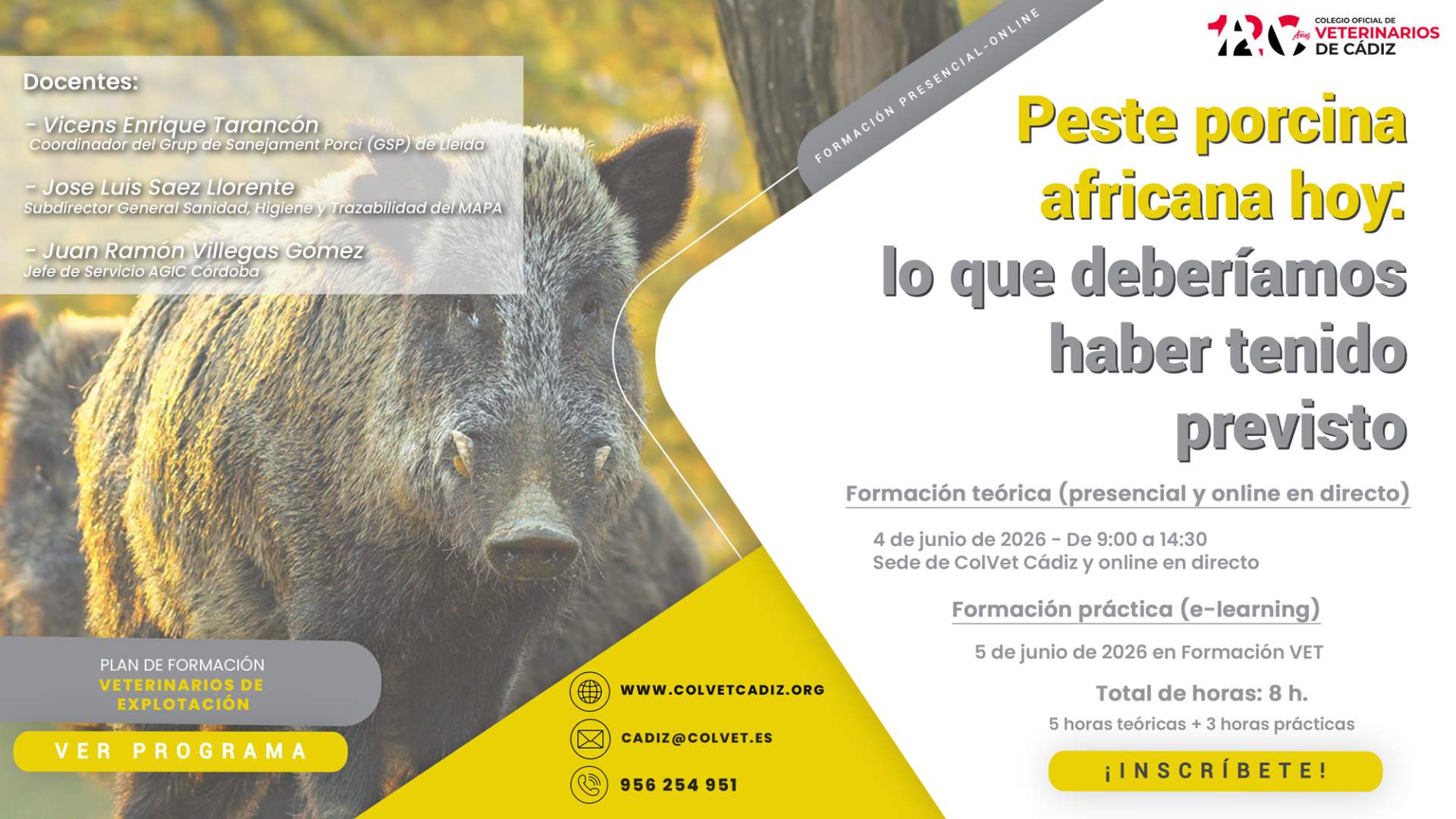 Peste porcina africana hoy: lo que deberíamos haber tenido previsto