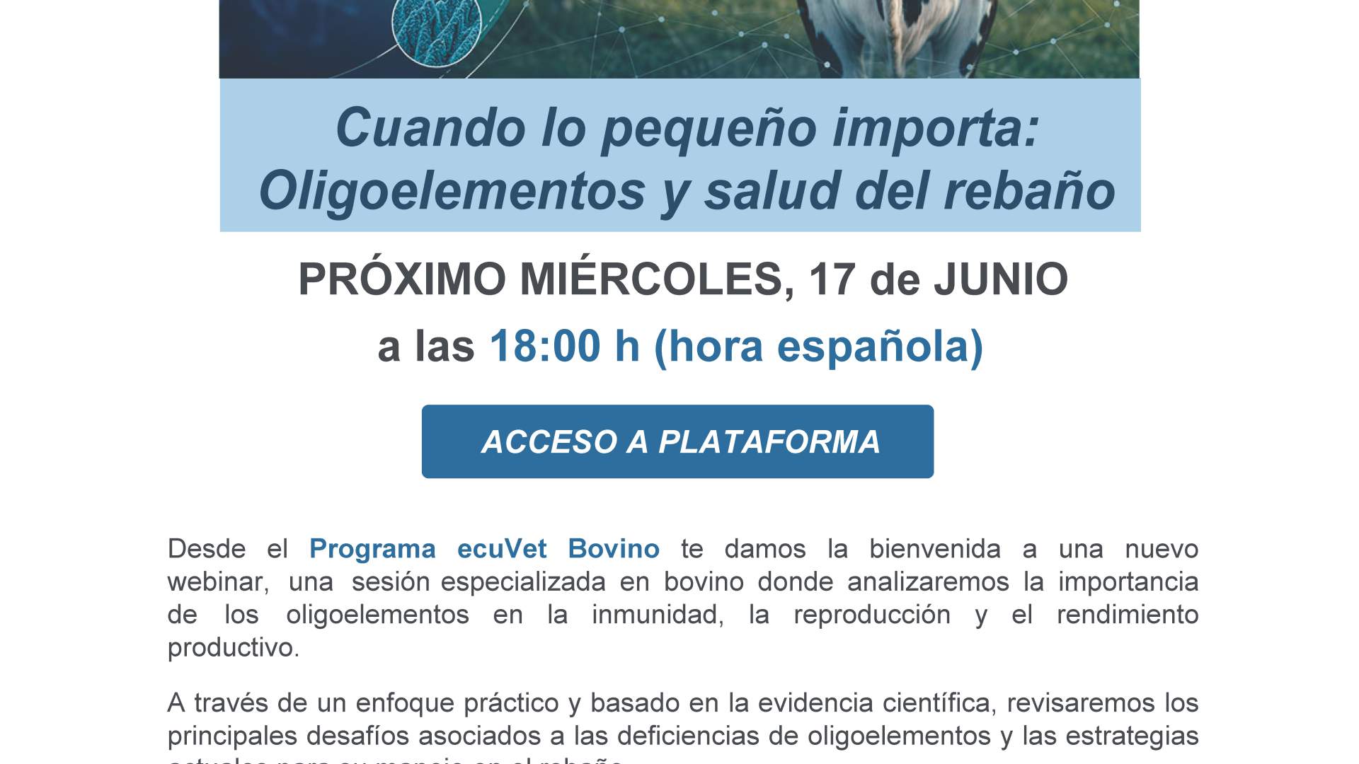 Cuando lo pequeño importa: oligoelementos y salud del rebaño