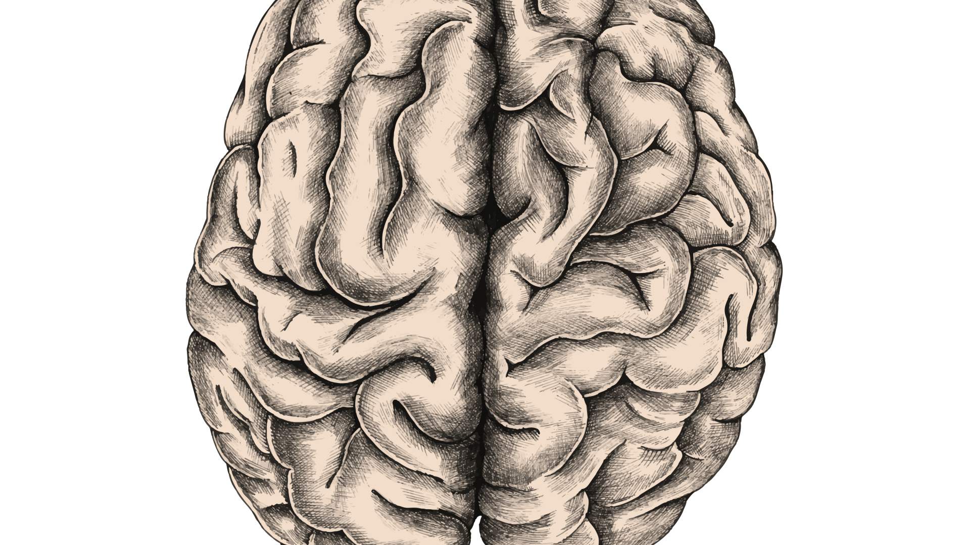 Microcredencial en neuropatología aplicada a la clínica veterinaria: de la exploración al diagnóstico definitivo