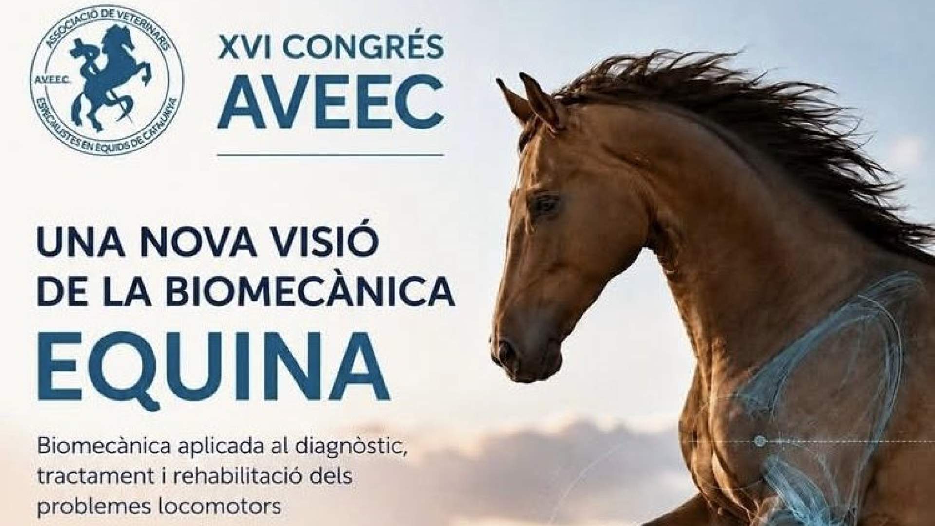 XVI Congrés AVEEC