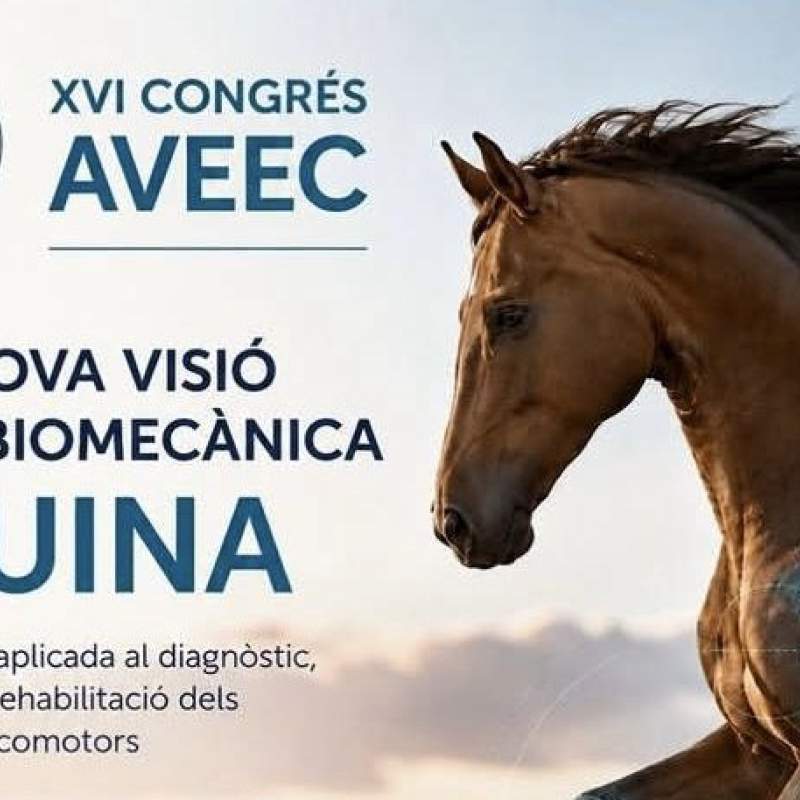 XVI Congrés AVEEC
