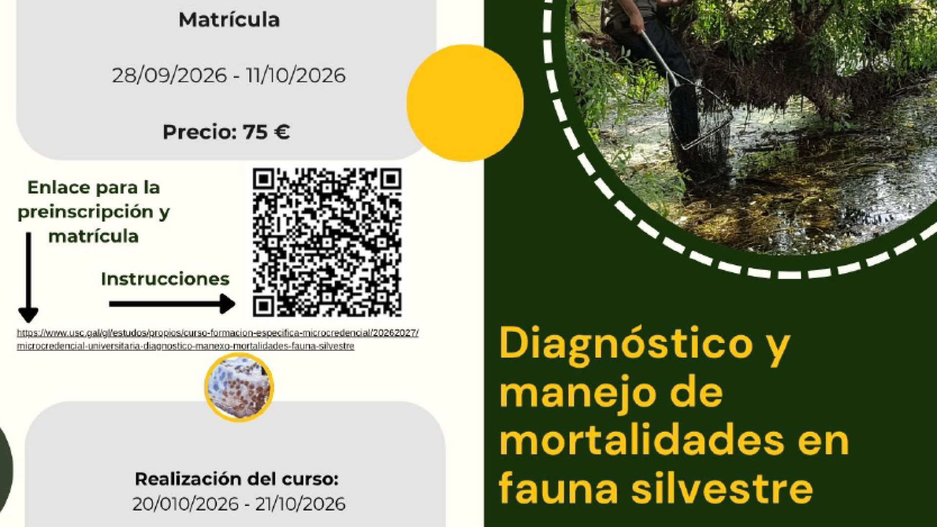 Diagnòstic i maneig de mortalitats en fauna silvestre