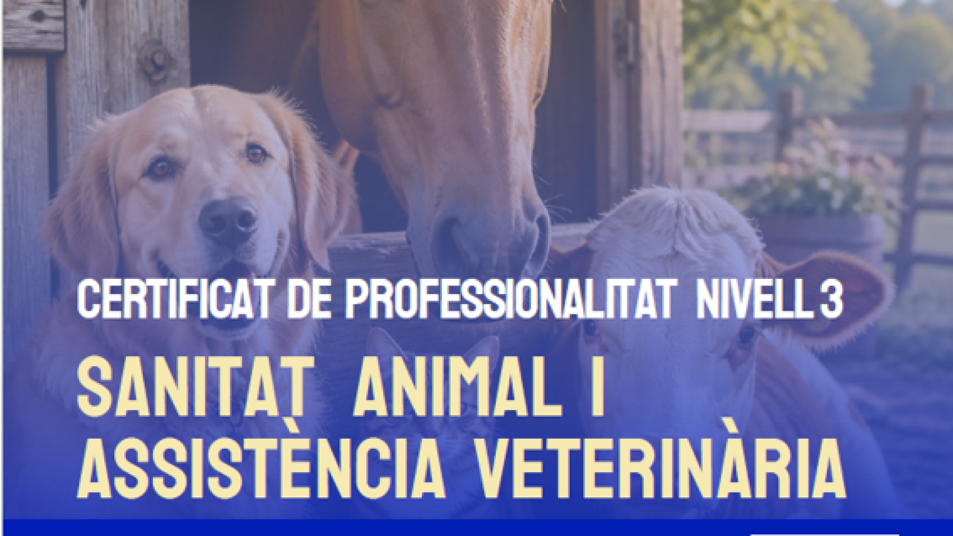 Certificado de Profesionalidad de Sanidad Animal y Asistencia Veterinaria