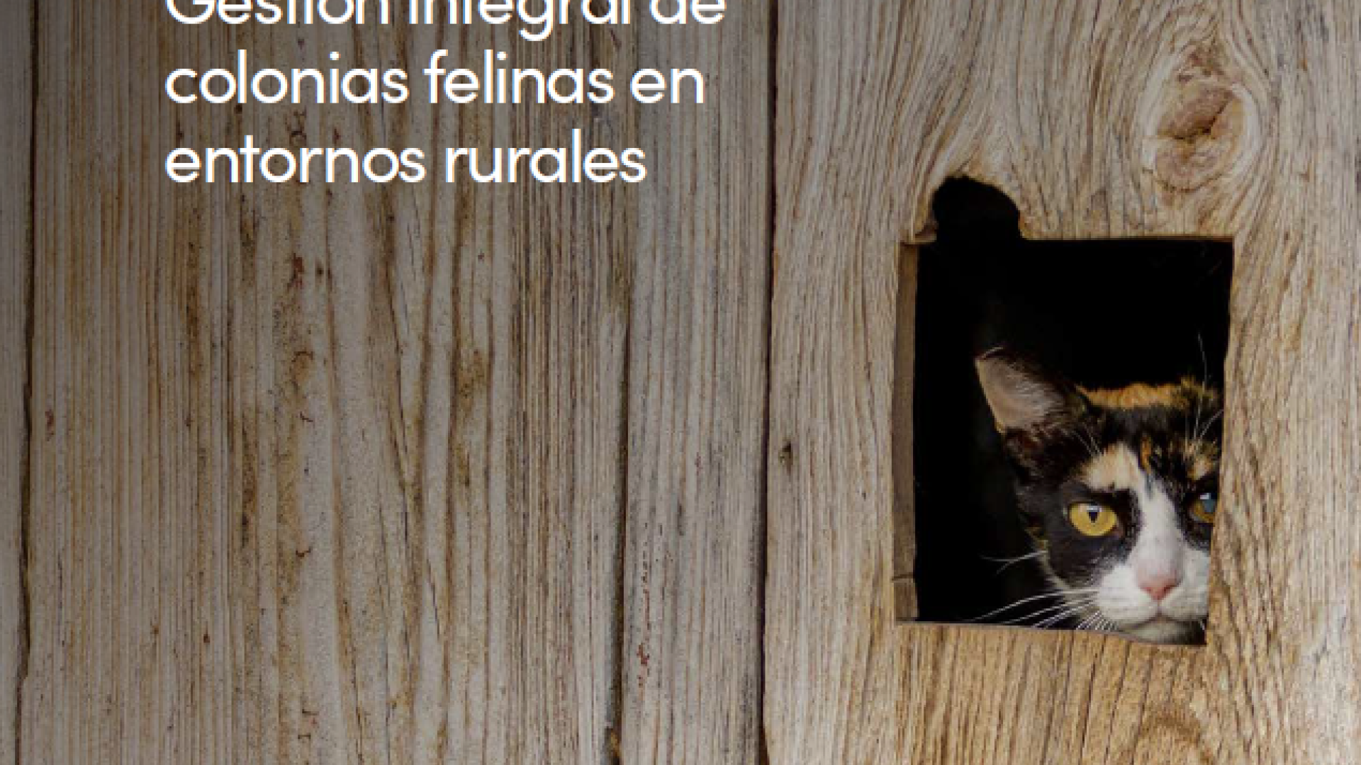 I Jornadas CER RURAL