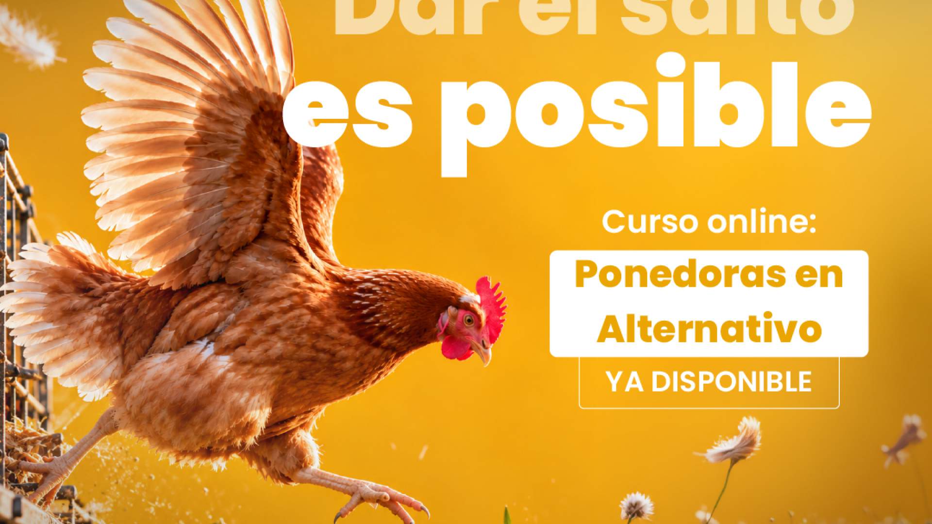 Manejo de ponedoras en sistemas alternativos