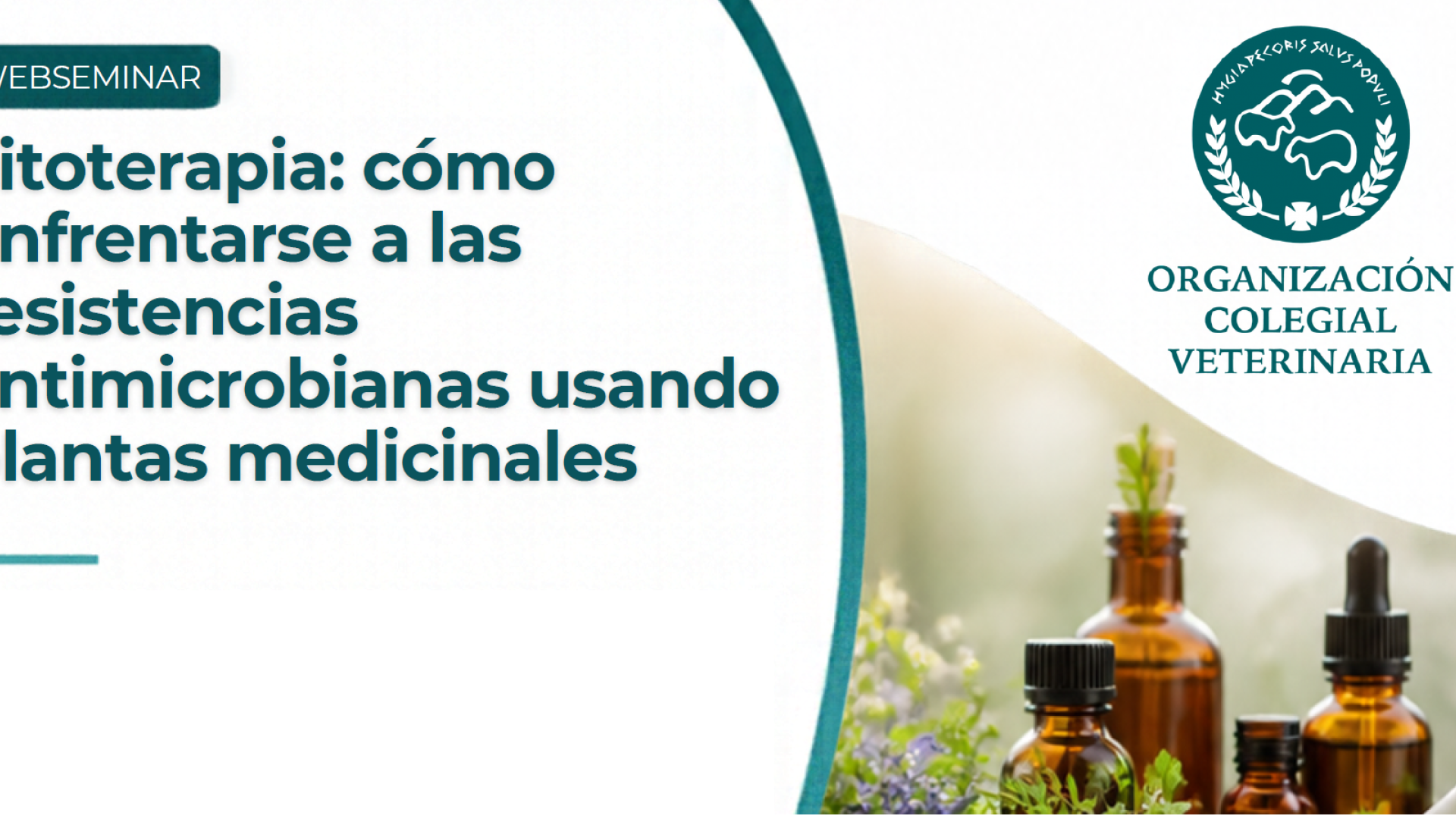 Fitoterapia: cómo enfrentarse a las resistencias antimicrobianas usando plantas medicinales