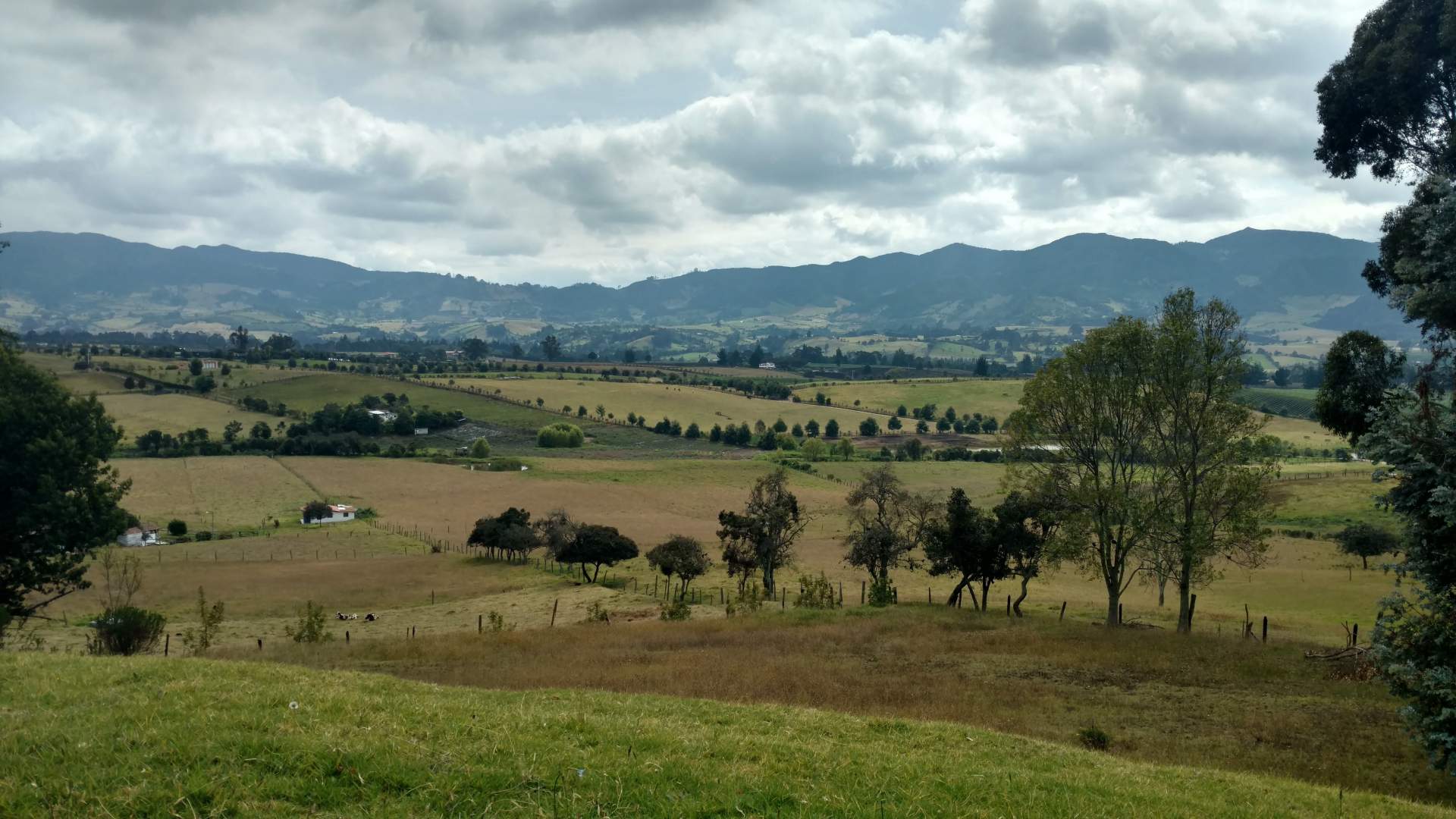 Jornada para Técnicos del Medio Rural